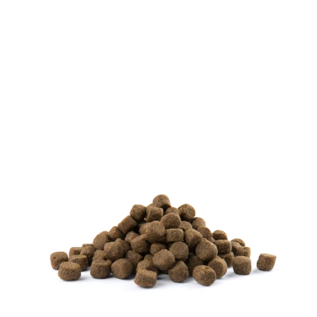 Adult Digestion Medium & Maxi 12,5kg 2 Adult Digestion Medium & Maxi 12,5kg - Afbeelding 2