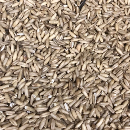 Avoine Pelée 25kg - Beyers 2 Avoine Pelée 25kg - Beyers - Afbeelding 2