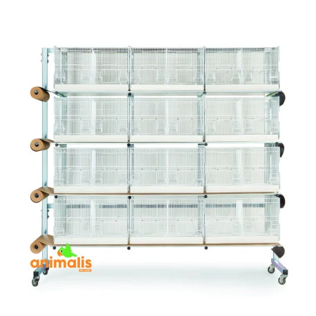 Batterie D'élevage 12 Cages - 60x31x35cm 1 Batterie D'élevage 12 Cages - 60x31x35cm