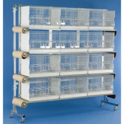 Batterie D'élevage 12 Cages - 60x31x35cm 7 Batterie D'élevage 12 Cages - 60x31x35cm -Exporteren Huis Lief Winkel batterie d elevage 12 cages 60x31x35cm 1 3