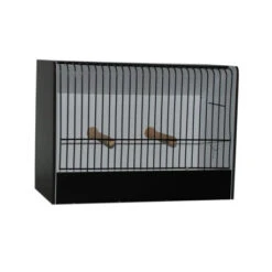 Cage D'exposition Caille Et Euphèmes En PVC