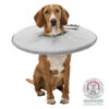 Trixie Collerette De Protection - S