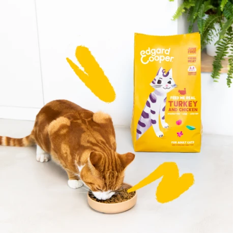 Croquettes Chat Dinde Et Poulet 2kg - Edgard Et Cooper 2 Croquettes Chat Dinde Et Poulet 2kg - Edgard Et Cooper - Afbeelding 2