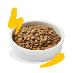 Croquettes Chat Dinde Et Poulet 2kg - Edgard Et Cooper 6 Croquettes Chat Dinde Et Poulet 2kg - Edgard Et Cooper -Exporteren Huis Lief Winkel croquettes chat dinde et poulet 2kg edgard et cooper 2