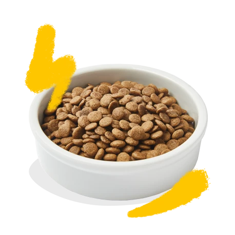 Croquettes Chat Dinde Et Poulet 2kg - Edgard Et Cooper 3 Croquettes Chat Dinde Et Poulet 2kg - Edgard Et Cooper - Afbeelding 3