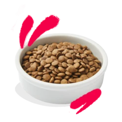 Croquettes Chat Senior Poulet Et Dinde 2kg - Edgard Et Cooper 6 Croquettes Chat Senior Poulet Et Dinde 2kg - Edgard Et Cooper -Exporteren Huis Lief Winkel croquettes chat senior poulet et dinde 2kg edgard et cooper 2