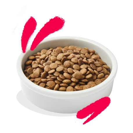 Croquettes Chat Senior Poulet Et Dinde 2kg - Edgard Et Cooper 3 Croquettes Chat Senior Poulet Et Dinde 2kg - Edgard Et Cooper - Afbeelding 3