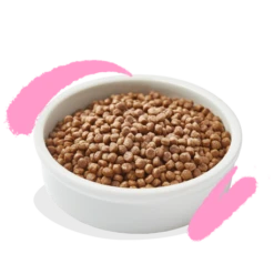 Croquettes Chaton Canard Et Poulet 2kg - Edgard Et Cooper -Exporteren Huis Lief Winkel croquettes chaton canard et poulet 2kg edgard et cooper 2