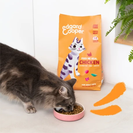 Croquettes Pour Chat Au Poulet 4kg - Edgard Et Cooper 2 Croquettes Pour Chat Au Poulet 4kg - Edgard Et Cooper - Afbeelding 2