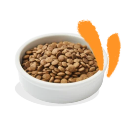 Croquettes Pour Chat Au Poulet 4kg - Edgard Et Cooper 6 Croquettes Pour Chat Au Poulet 4kg - Edgard Et Cooper -Exporteren Huis Lief Winkel croquettes pour chat au poulet 4kg edgard et cooper 2