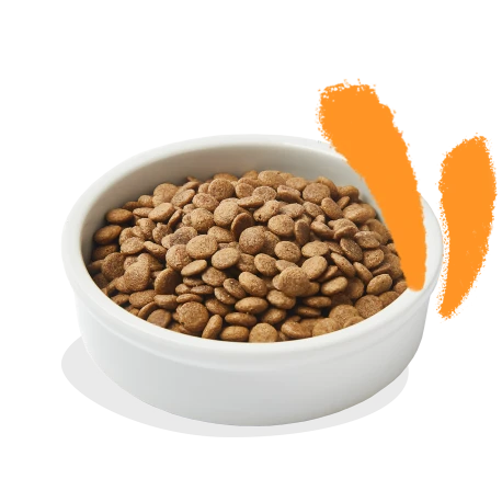 Croquettes Pour Chat Au Poulet 4kg - Edgard Et Cooper 3 Croquettes Pour Chat Au Poulet 4kg - Edgard Et Cooper - Afbeelding 3
