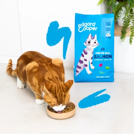 Croquettes Pour Chat Au Saumon 2kg - Edgard Et Cooper 2 Croquettes Pour Chat Au Saumon 2kg - Edgard Et Cooper - Afbeelding 2