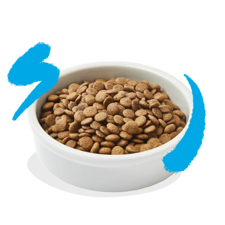 Croquettes Pour Chat Au Saumon 4kg - Edgard Et Cooper 3 Croquettes Pour Chat Au Saumon 4kg - Edgard Et Cooper - Afbeelding 3