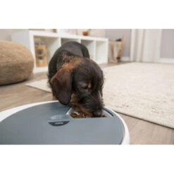 Trixie Distributeur Automatique De Nourriture TX4+1 -Exporteren Huis Lief Winkel distributeur automatique de nourriture tx41 4