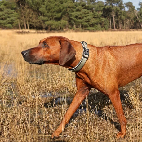 Explor Fit Comfy Collier Classic Vert XL - 52-61cm 4 Explor Fit Comfy Collier Classic Vert XL - 52-61cm - Afbeelding 4