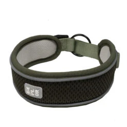 Explor Fit Control Collier Classic Vert M - 39-44cm -Exporteren Huis Lief Winkel explor fit control collier classic vert m 39 44cm 2