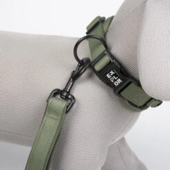 Explor Fit Control Collier Classic Vert XS - 30-33cm 11 Explor Fit Control Collier Classic Vert XS - 30-33cm -Exporteren Huis Lief Winkel explor fit control collier classic vert xs 30 33cm 4