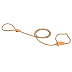 Explor Forest Laisse De Dressage Nylon Taupe - 170cm/8mm