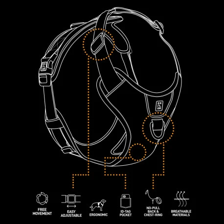 Explor Harnais Classic Noir Granite M - 35-60cm - 57-80cm 5 Explor Harnais Classic Noir Granite M - 35-60cm - 57-80cm - Afbeelding 5