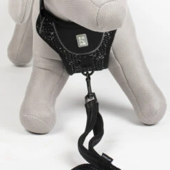 Explor Harnais Classic Noir Granite XS - 20-40cm - 37-45cm 13 Explor Harnais Classic Noir Granite XS - 20-40cm - 37-45cm -Exporteren Huis Lief Winkel explor harnais classic noir granite xs 20 40cm 37 45cm 5