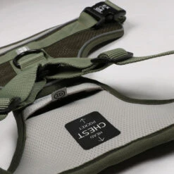 Explor Harnais Classic Vert L - 40-70cm - 77-100cm -Exporteren Huis Lief Winkel explor harnais classic vert l 40 70cm 77 100cm 4