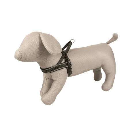 Explor Harnais East En Nylon Noir 65-80cm/25mm 2 Explor Harnais East En Nylon Noir 65-80cm/25mm - Afbeelding 2