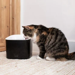 Duvo Fontaine à Eau Manoa Noir/blanc 3L -Exporteren Huis Lief Winkel fontaine a eau manoa noirblanc 3l 2