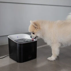 Duvo Fontaine à Eau Manoa Noir/blanc 3L -Exporteren Huis Lief Winkel fontaine a eau manoa noirblanc 3l 3