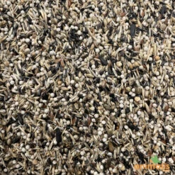 Mélange De Graines Pour Tarins Américains Et Européens 15kg - Hoebre -Exporteren Huis Lief Winkel melange de graines pour tarins americains et europeens 15kg 2