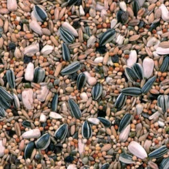 Grandes Perruches Duvo 20 Kg -Exporteren Huis Lief Winkel melange pour grandes perruches 20 kg duvo 3