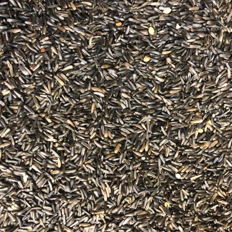 Graines De Niger 15 Kg 2 Graines De Niger 15 Kg - Afbeelding 2