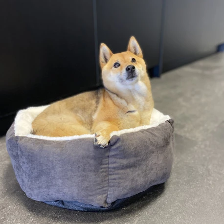 Duvo Panier Hexa Velvet Copper Rouge/blanc L - 80x80x28cm 2 Duvo Panier Hexa Velvet Copper Rouge/blanc L - 80x80x28cm - Afbeelding 2