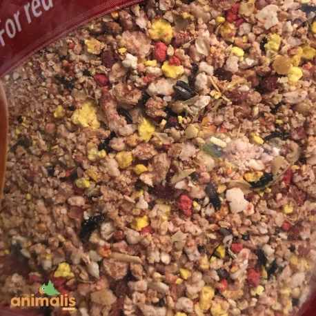 Pâtée Quiko Rouge 5kg + 1kg Gratuit 2 Pâtée Quiko Rouge 5kg + 1kg Gratuit - Afbeelding 2