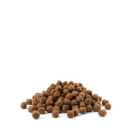 Puppy Sensitive All Breeds 12,5kg 2 Puppy Sensitive All Breeds 12,5kg - Afbeelding 2