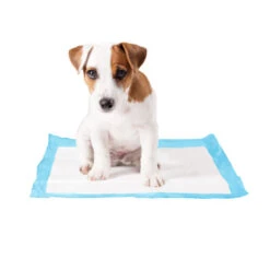 Duvo Serviette D’apprentissage Pour Chiens P-Pad - XL - 30st - 60x60cm