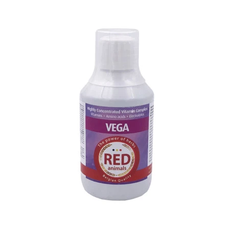 Vega 250 Ml - Vitamines, Acides Aminés Et Électrolytes 1 Vega 250 Ml - Vitamines, Acides Aminés Et Électrolytes