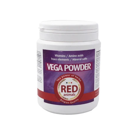 Vega Powder 500g - Vitamines, Acides Aminés Et Électrolytes 1 Vega Powder 500g - Vitamines, Acides Aminés Et Électrolytes